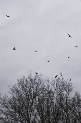 為什麼青田一直下雨?是因為那裡的天空中藏著一隻會下雪的烏鴉。